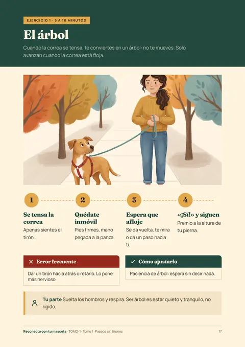 Tomo 1, página: ejercicio el árbol