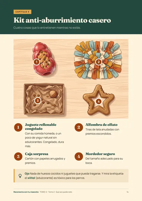 Tomo 2, página: kit anti-aburrimiento casero